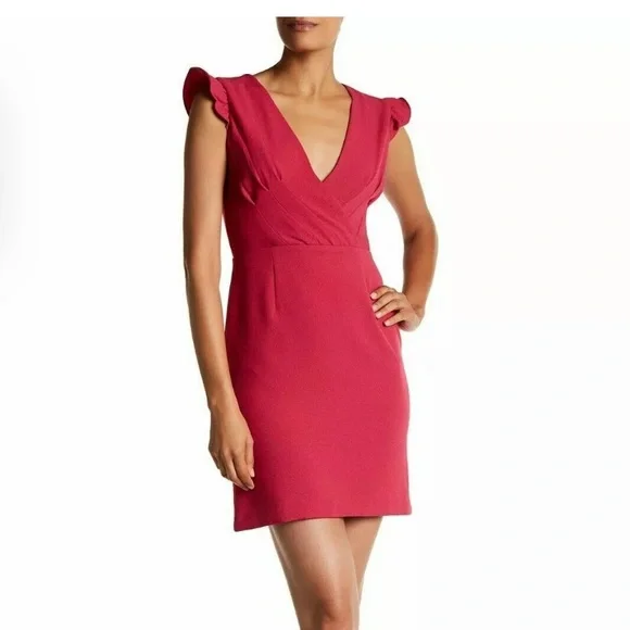 Nicole Miller Sheath Dress NWTSize 4 Pink Ruffle Sleeve V-Neck Stretch Crepe - Picture 1 of 12